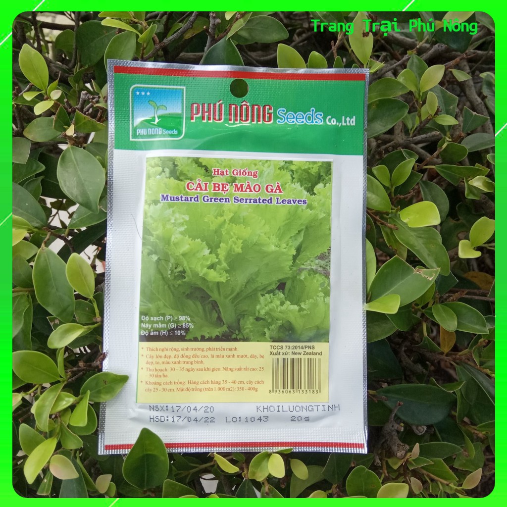 Hạt Giống Cải Bẹ Mào Gà Phú Nông - Gói 20g - Mustard Green Serrated Leaves