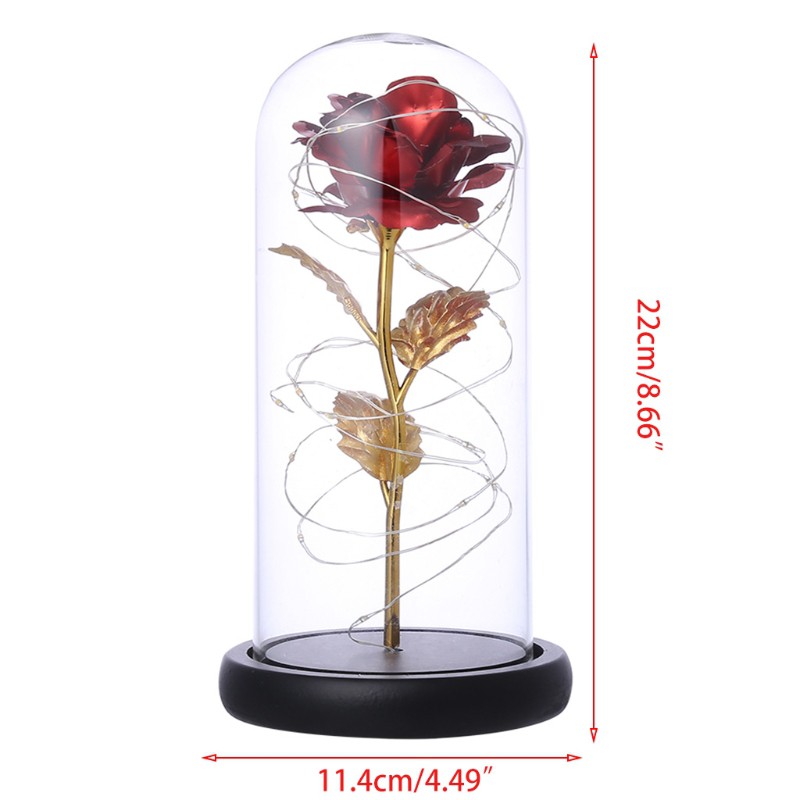 Hoa Hồng Trong Lồng Kính Có Đèn Led Trang Trí