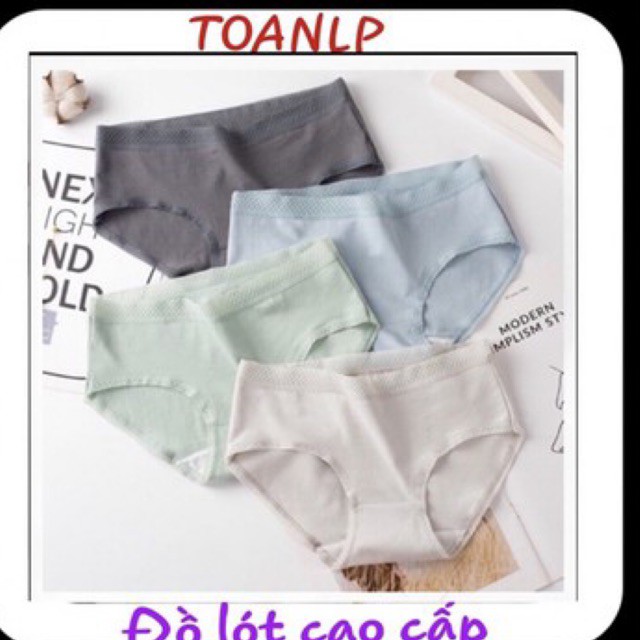  Quần lót cotton trơn cạp sọc ( co size) ms 004