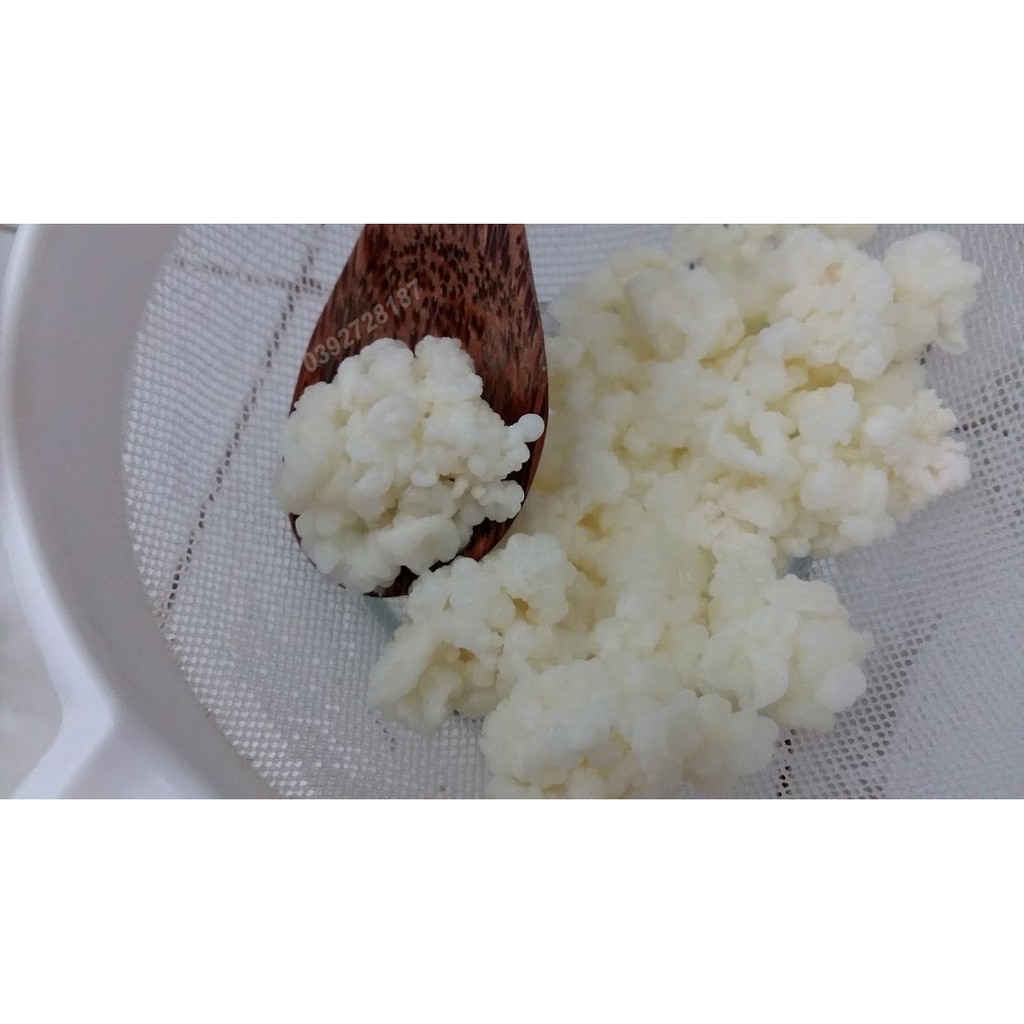 Combo nấm Keffir, rây lọc, thìa gỗ, khăn, hũ nuôi thủy tinh