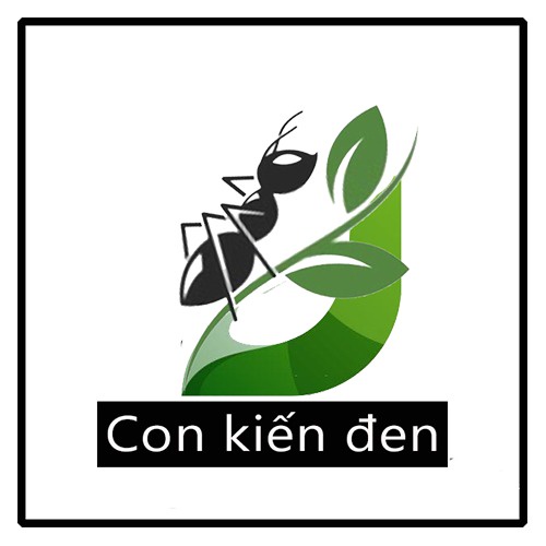 Con kiến đen