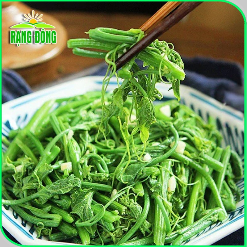Hạt giống Bầu Siêu Ngọn, dễ trồng, ít chăm sóc, trồng được quanh năm (gói 5gr) - Hạt giống Rạng Đông
