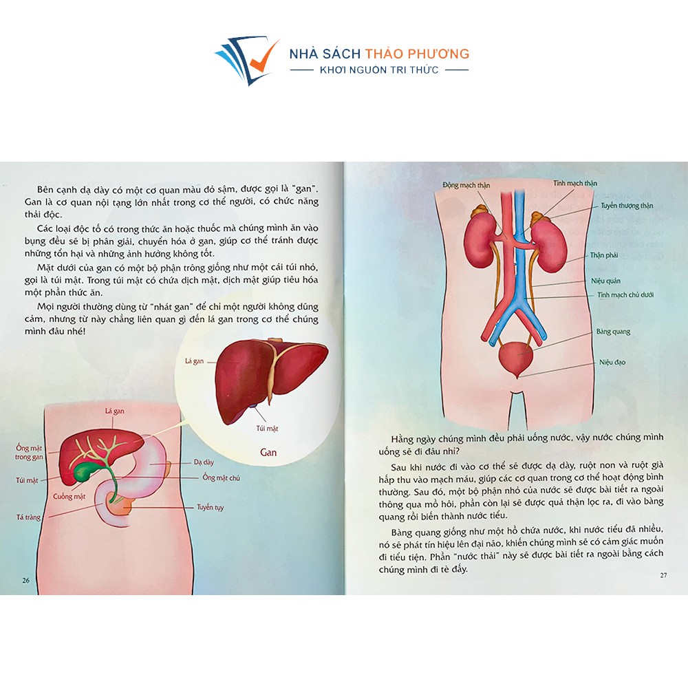 Sách - Giáo dục giới tính và nhân cách dành cho bé gái (Combo 4 cuốn)