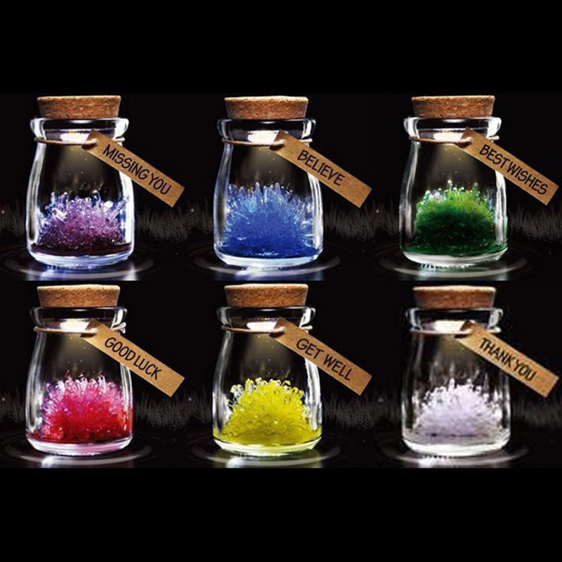 Bình ước nguyện hoa thủy tinh có đèn Led (màu ngẫu nhiên) - Andhere
