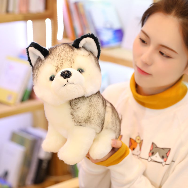 ✐▩☋Dễ thương mô phỏng husky búp bê sang trọng đồ chơi chó con Erha nhỏ món quà sinh nhật cô gái