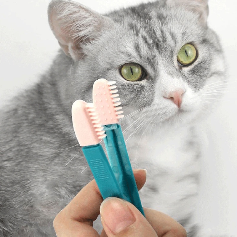 Lược Chải Loại Bỏ Vết Bẩn Trên Mắt Cho Thú Cưng