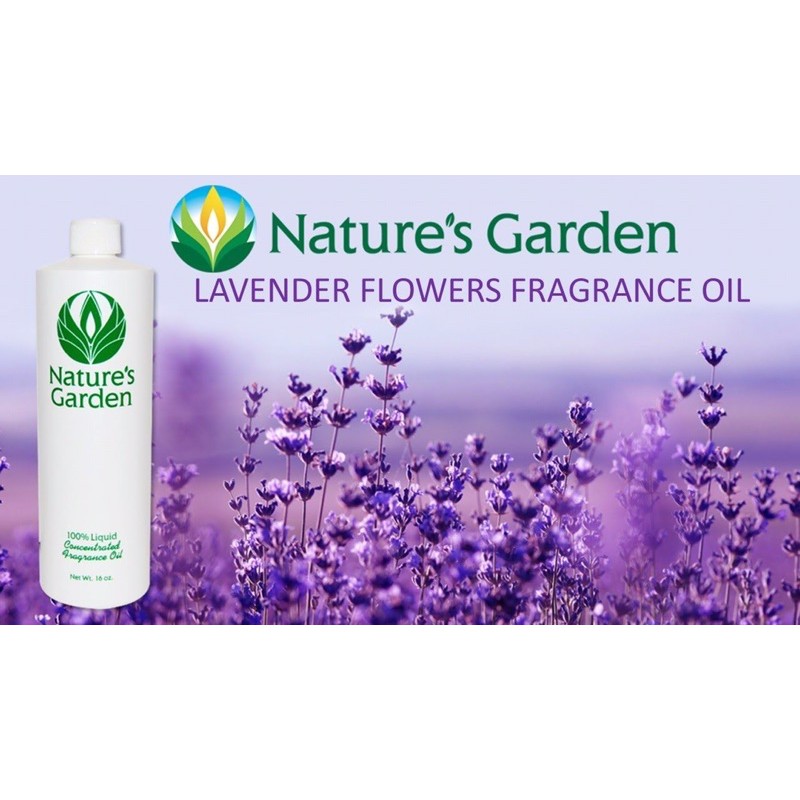 Hương Liệu Mỹ Nature's Garden mùi Hoa Lavender- Oải hương- làm nến thơm handmade - làm xà phòng handmade