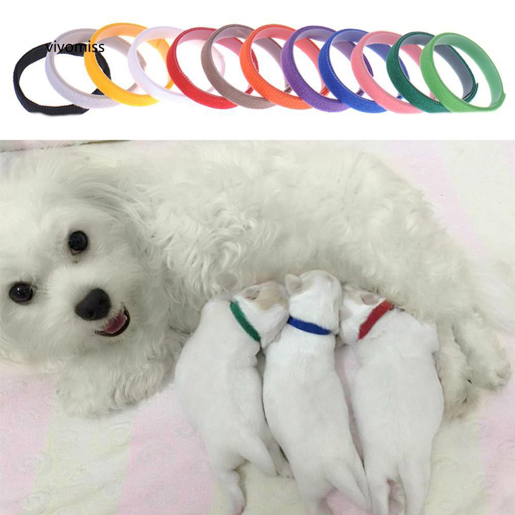 VVMS♥12Pcs Little Dog Cat Puppy Whelping Identification Collar ID Bands Pet Supplies