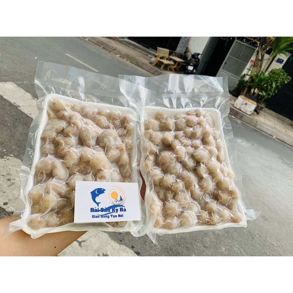 Giá Sỉ - Răng Mực Làm Sạch - Q12