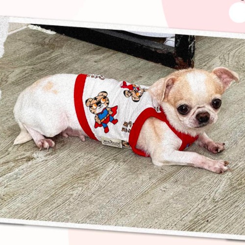 ÁO CHÓ MÈO CÓ SIZE LỚN - ÁO THUN MÁT MẺ - CHỌN MẪU