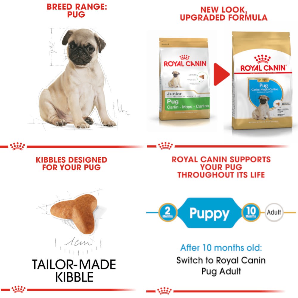 Thức ăn cho chó con Royal Canin Pug Puppy 1,5kg - Thức ăn cho chó Pug nhỏ, chó con