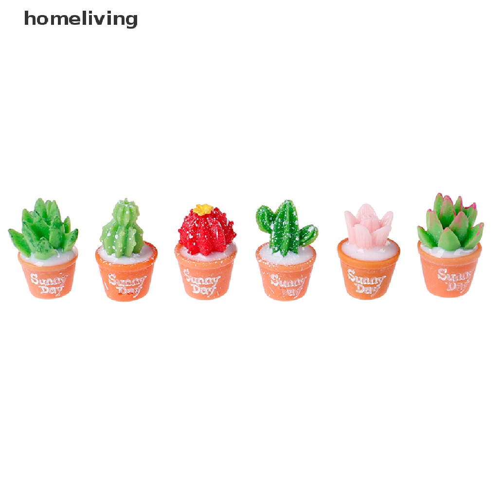 Bộ 5 Cây Xương Rồng Mini Bằng Nhựa Resin Dùng Trang Trí Tiểu Cảnh DIY