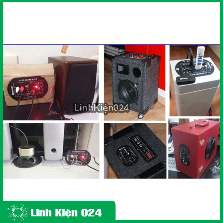 Module Loa Siêu Trầm 220VAC 12V-24VDC TDA2009 10W+10W