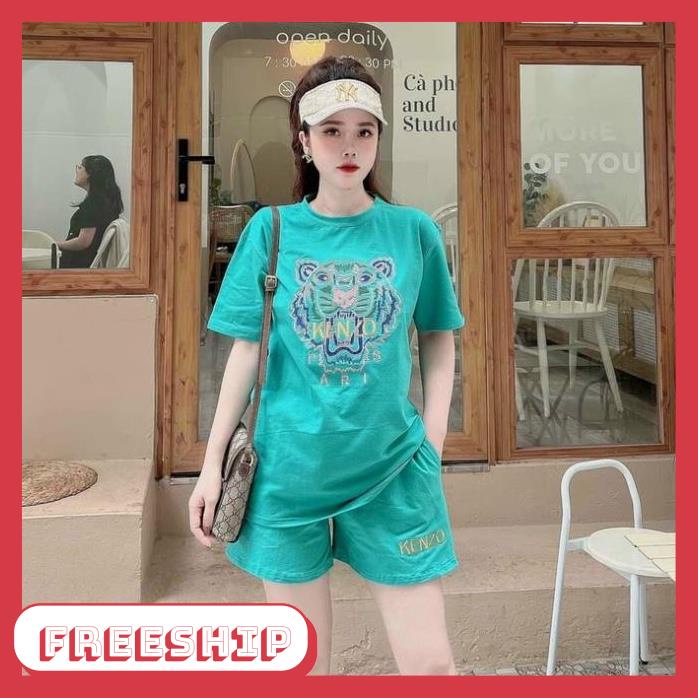 Set Thể Thao Bigsize Nữ, Đồ Bộ Thun Teen Họa Tiết Đầu Hổ Thêu Rộng Size 45-70kg, Thời Trang Nữ Zenni.