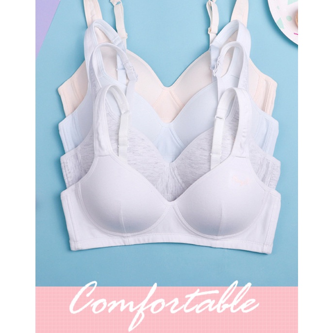 Bra / Áo Ngực Cotton ANGEL Nữ Sinh Xuất Đông Âu ( A201 ).