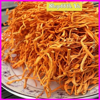100g Đông trùng hạ thảo sấy khô dùng thử ♥RẺ NHẤT♥ Nấm đông trùng hạ thảo khô bồi bổ cơ thể