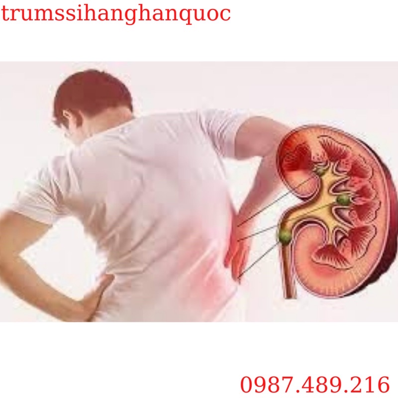 [ Chính Hãng ] Viên Uống Bổ Thận Kwangdong Hàn Quốc, Hộp 360 Viên, Giúp Tăng Cường Sinh Lý Và Chức Năng Thận