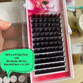 Mi hoa hồng đen 50k