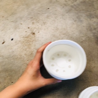 Chậu nhựa 10cm