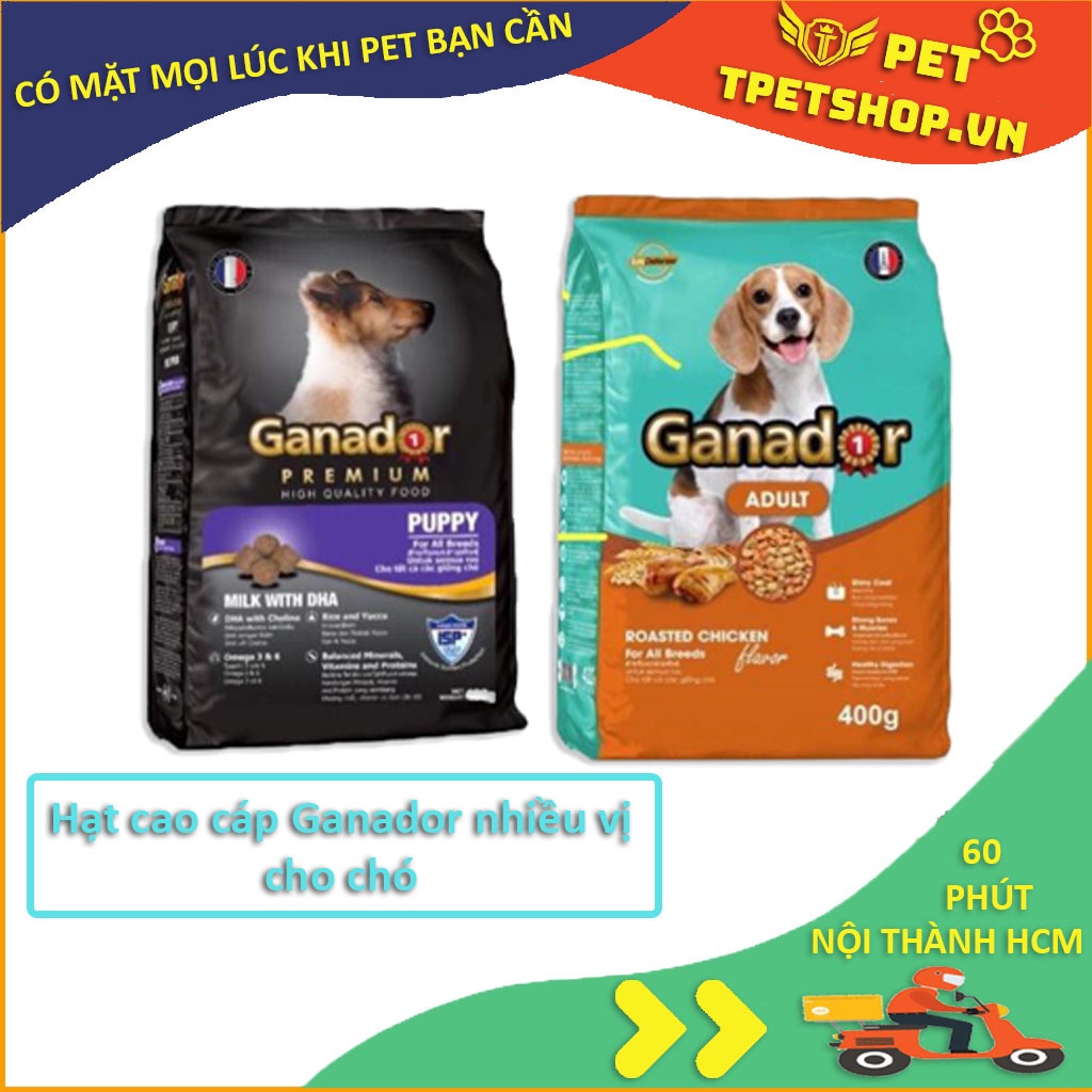 (Bao 3kg) Thức ăn dạng hạt cao cấp GANADOR thức ăn cho chó mọi lứa tuổi