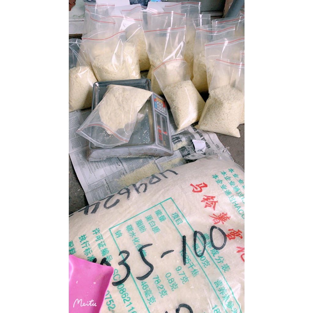 Bông Tuyết câu cá