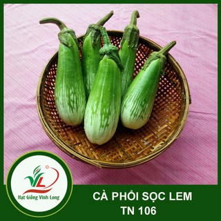Hạt giống Cà phổi sọc lem TN 106