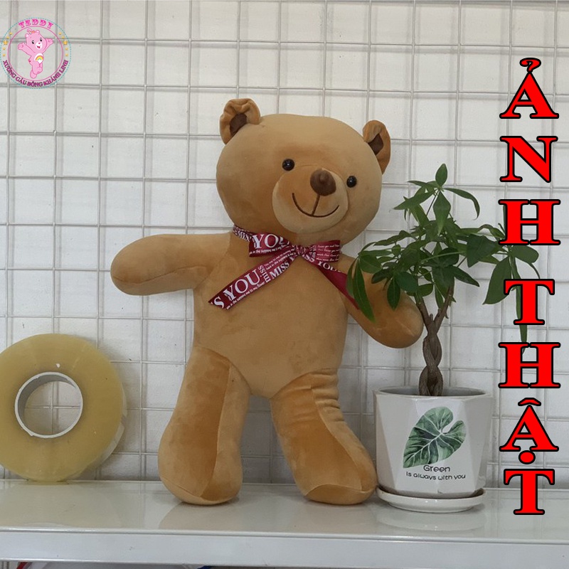 Gấu Bông Teddy Đeo Nơ Size 50Cm 2 Màu Hồng Và Nâu Chất Liệu Cao Cấp Co Dãn 4 Chiều Hàng Xuất Siêu Thị