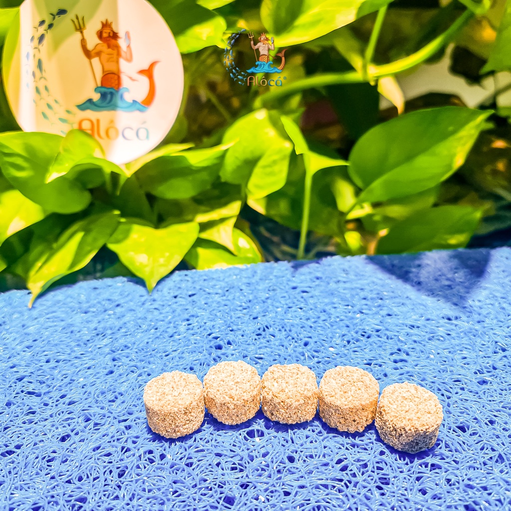 Bao 100g, 500g vật liệu lọc xử lý nước bể cá cảnh sứ viên trụ tròn Yeben Bacteria Culturing Ball