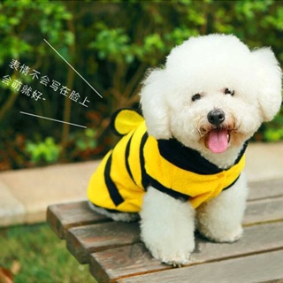 Áo ong dễ thương cho cún mèo
