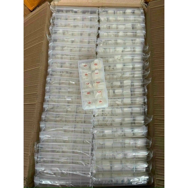 Móng úp chân , phom đẹp,hộp 500 móng