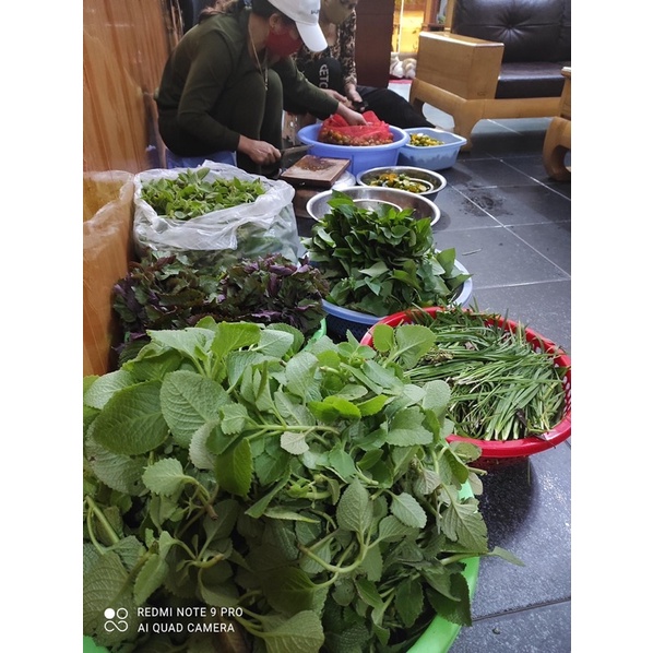 Siro quất húng chanh đường phèn 500ml