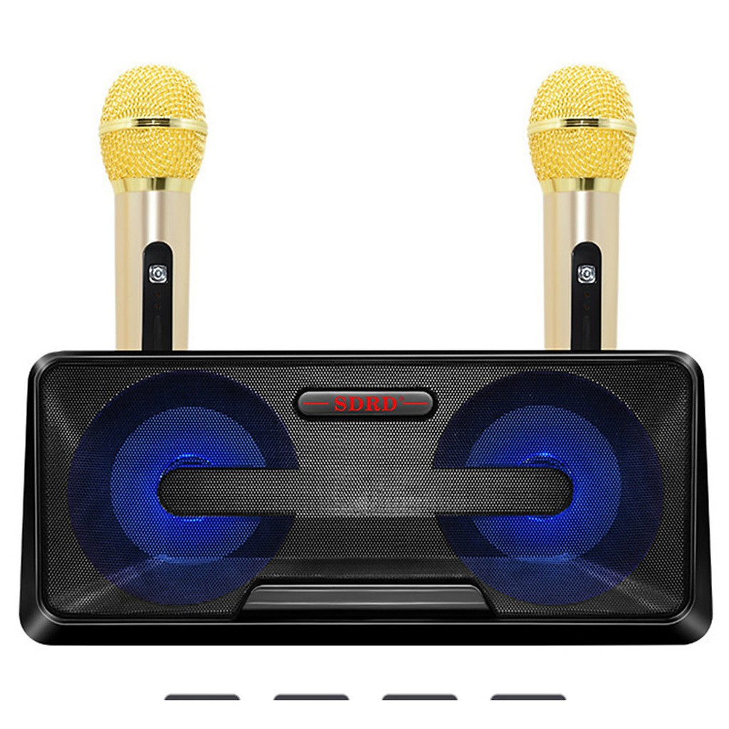 Loa Bluetooth Karaoke SDRD SD-301