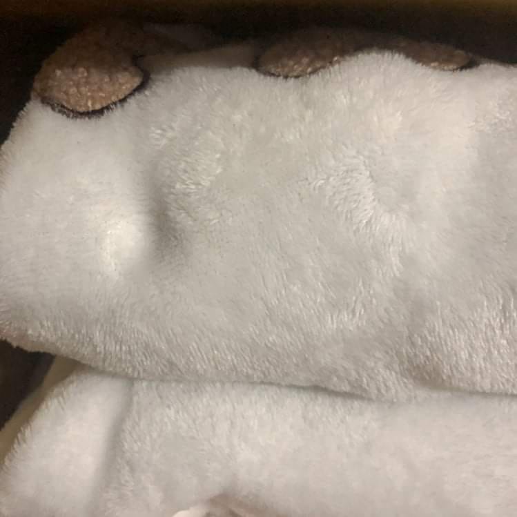 BỘ NGỦ LÔNG/ ORDER TAOBAO | BigBuy360 - bigbuy360.vn