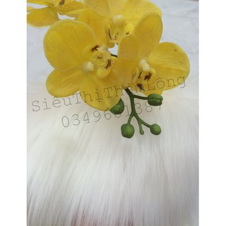 THẢM LÔNG CHỤP HÌNH MÀU TRẮNG 1mx0.8
