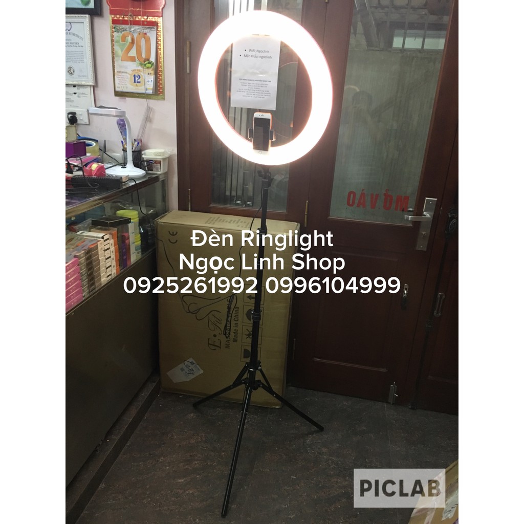 Đèn Led Ring light livestream