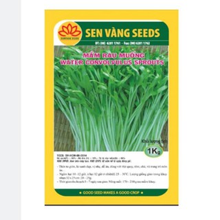Hạt Giống Rau Muống Mầm