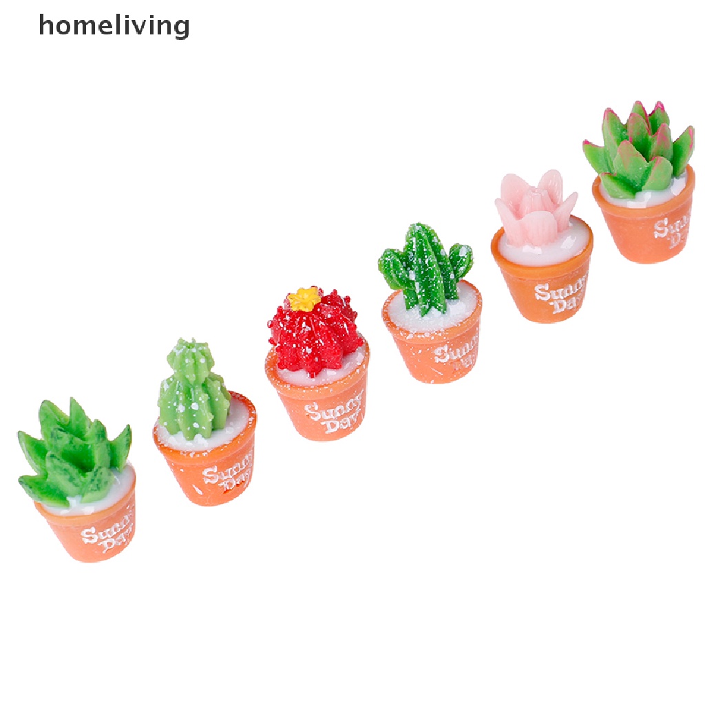 Bộ 5 Cây Xương Rồng Mini Bằng Nhựa Resin Dùng Trang Trí Tiểu Cảnh DIY