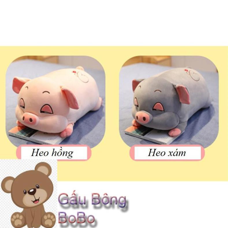 [BOBO] [Mua để nhận quà] Gấu Bông Heo Phê Cần Cao Cấp Đủ Size 💥 FREESHIP 💥 Gấu Bông Sóc Nhí