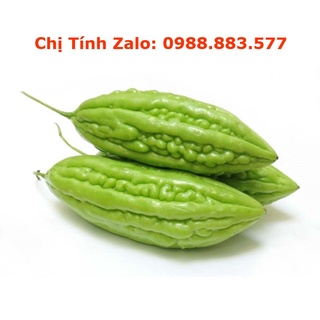 Khổ qua - mướp đắng 0.5 - 1kg | giao siêu tốc 2 tiếng hcm