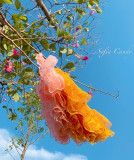 Váy chấm bi