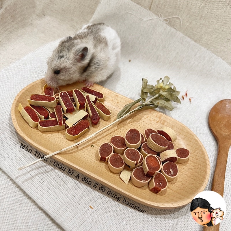 Sushi thịt bò cuộn dành cho Hamster