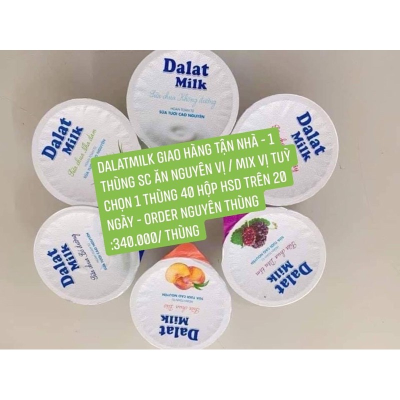 0903373062 dalatmilk tp HCM sữa chua ăn không đường Dalatmilk 100gr