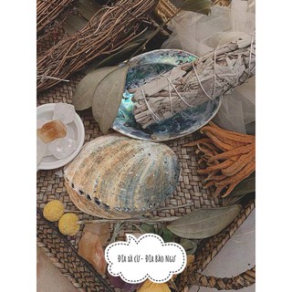 Đĩa ốc Xà Cừ- Đĩa Đốt Sage