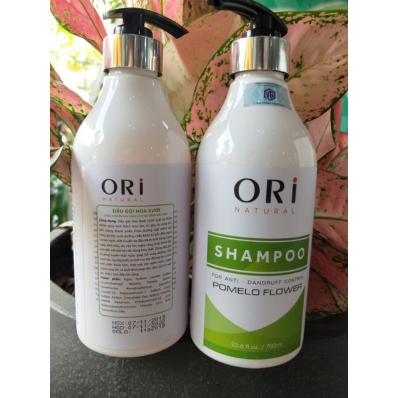 Dầu gội hoa bưởi Ori 750ml♦️CHÍNH HÃNG♦️giúp mọc tóc ngăn ngừa rụng tóc, cung cấp dưỡng chất, nuôi dưỡng tóc bồng bềnh