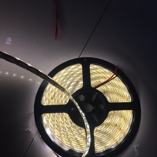 Combo đèn led dán 12v có keo 5m