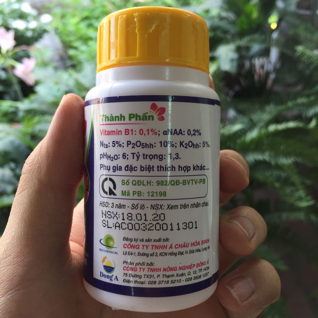 Super roots B1