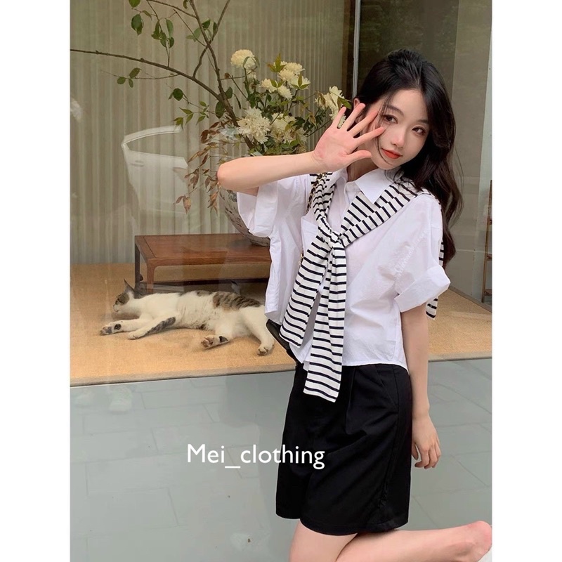 Set 3 món sơmi quần short kèm choàng cổ kẻ sọc, set đồ nữ