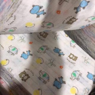 Combo 4b cotton giấy 3 lỗ cho bé