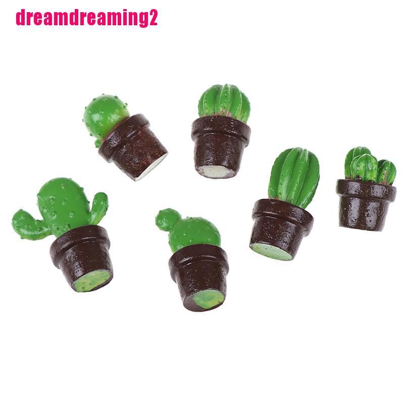 Bộ 5 Cây Xương Rồng Mini Bằng Nhựa Dùng Trang Trí