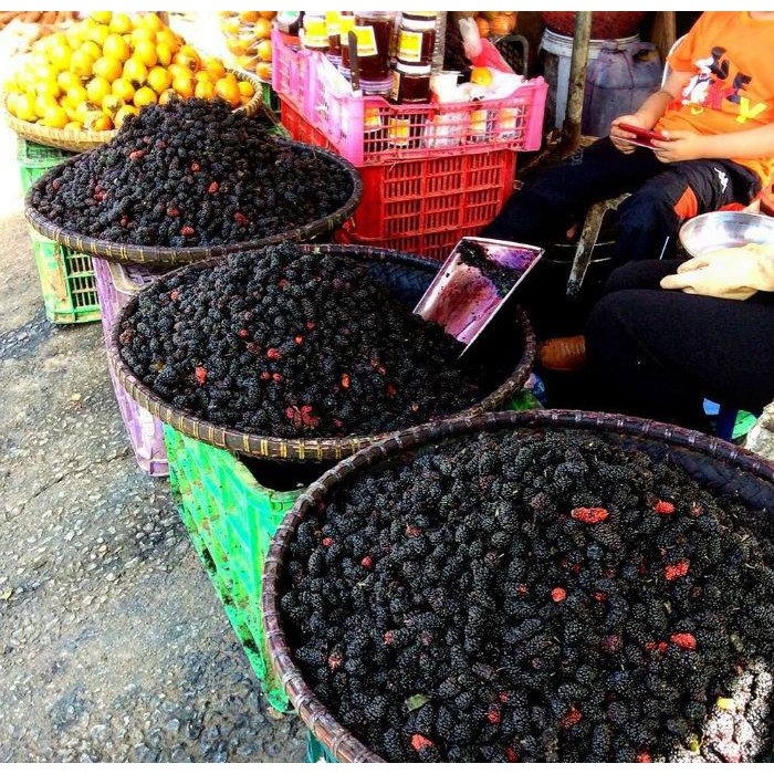 [⇩20%] Nước ép Dâu tằm Đà Lạt chai 500ml 🍓🍓